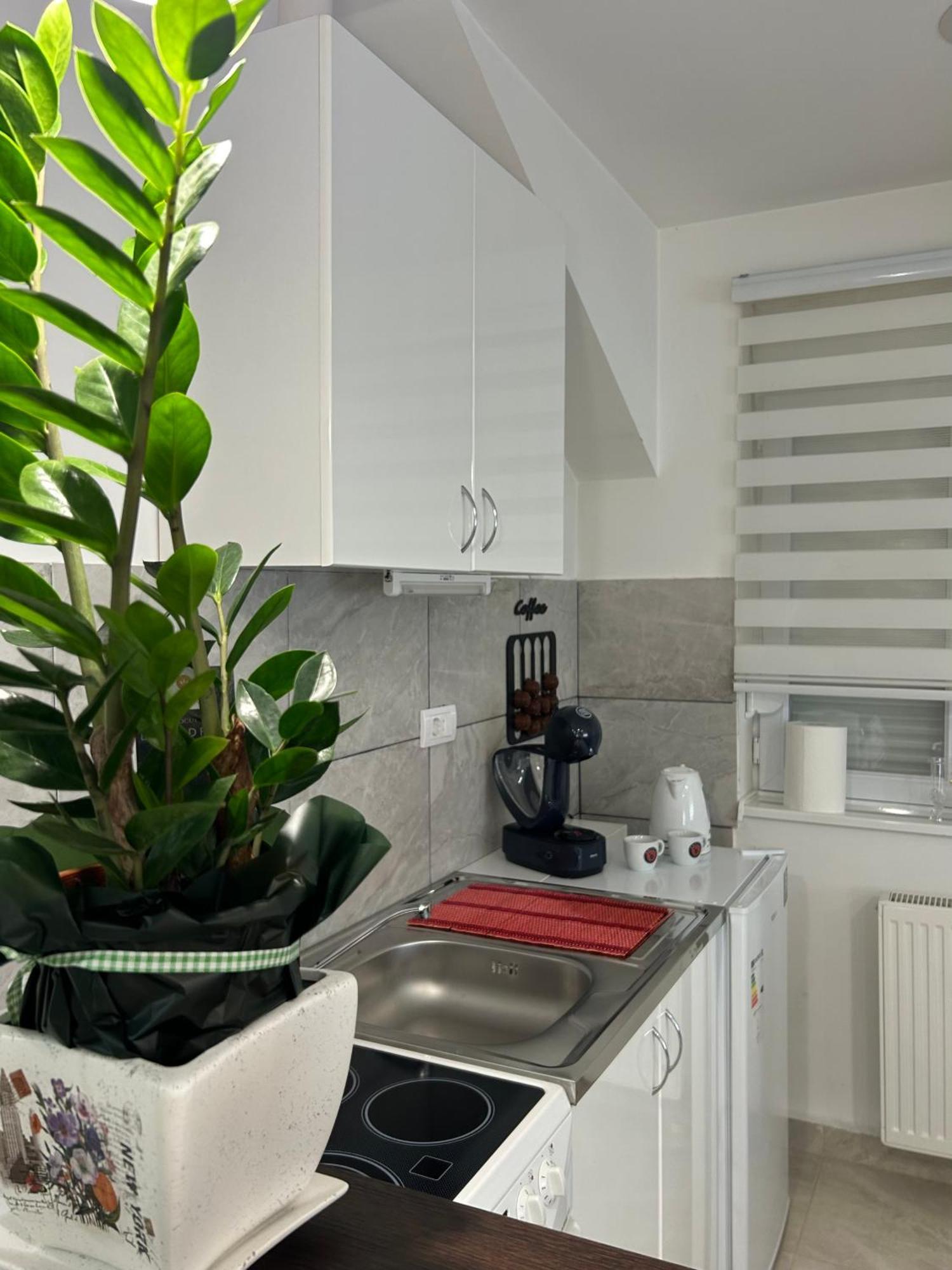 Apartman Diamond Lux Surčin Exterior foto
